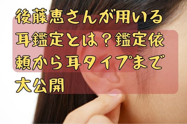 後藤恵さんが用いる耳鑑定とは？鑑定依頼から耳タイプまで大公開